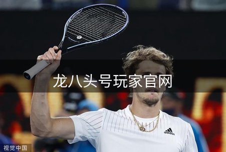 公司核心优势