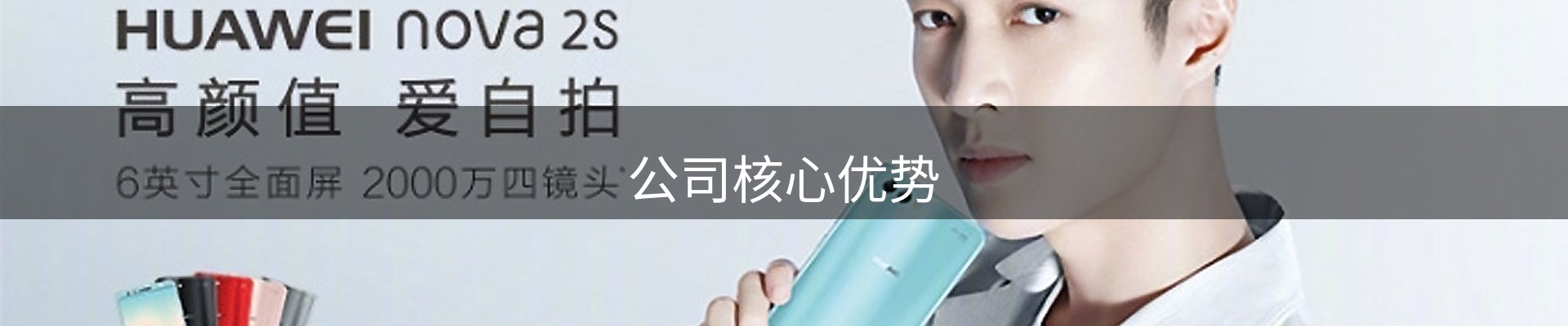 公司核心优势