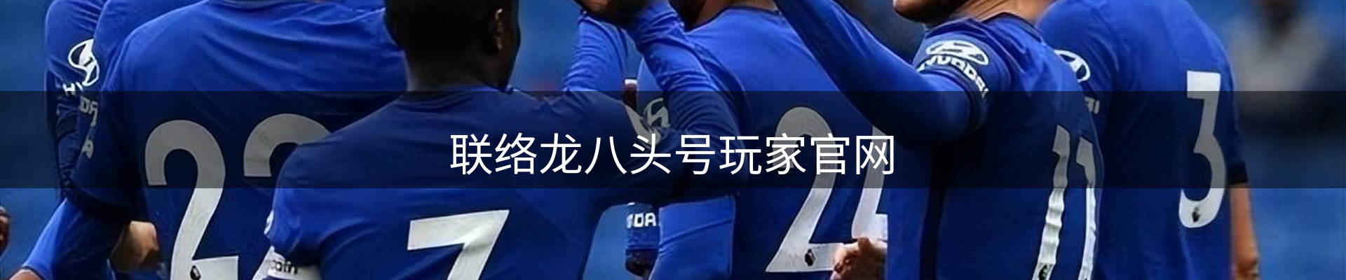 联络龙八头号玩家官网